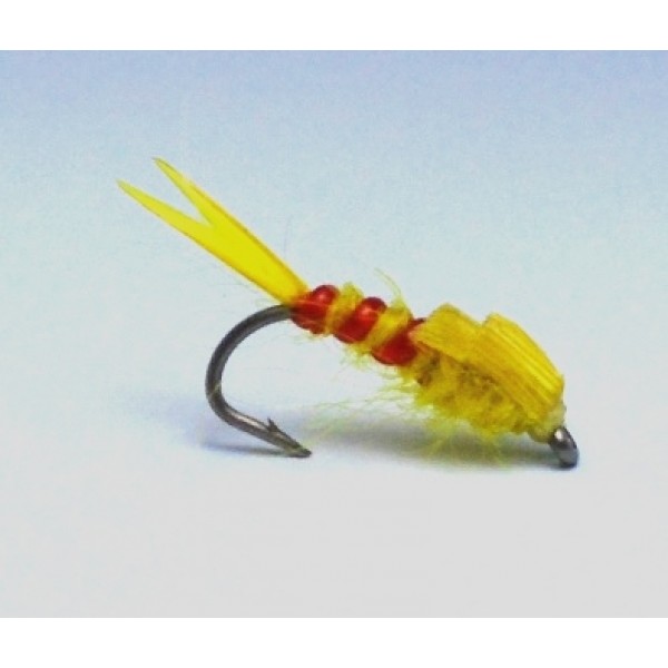 Stonefly Yellow