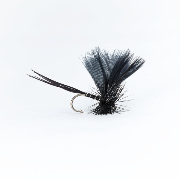 Mayfly Drake