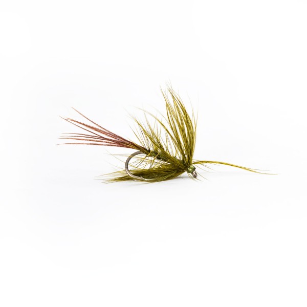 Mayfly Olive Drowned