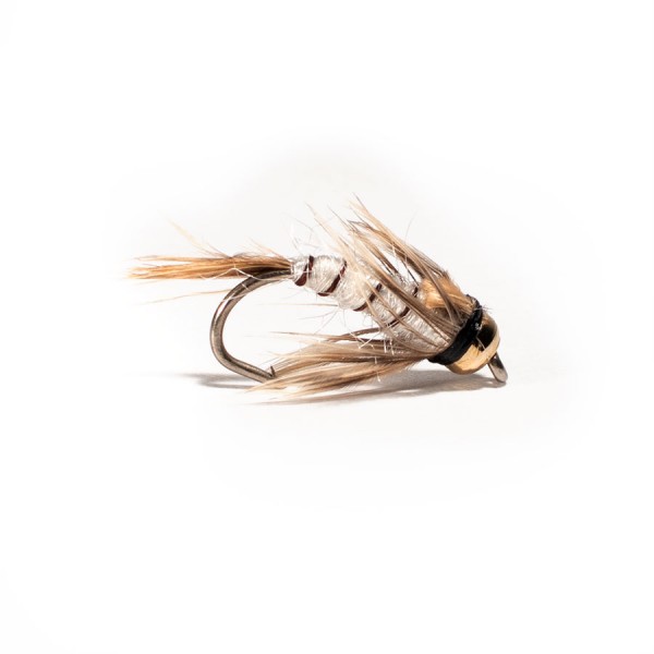 Mayfly