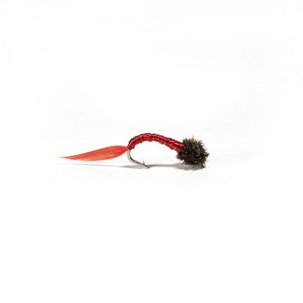 Bloodworm