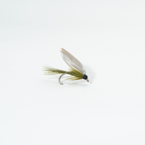 Blue Winged Olive 