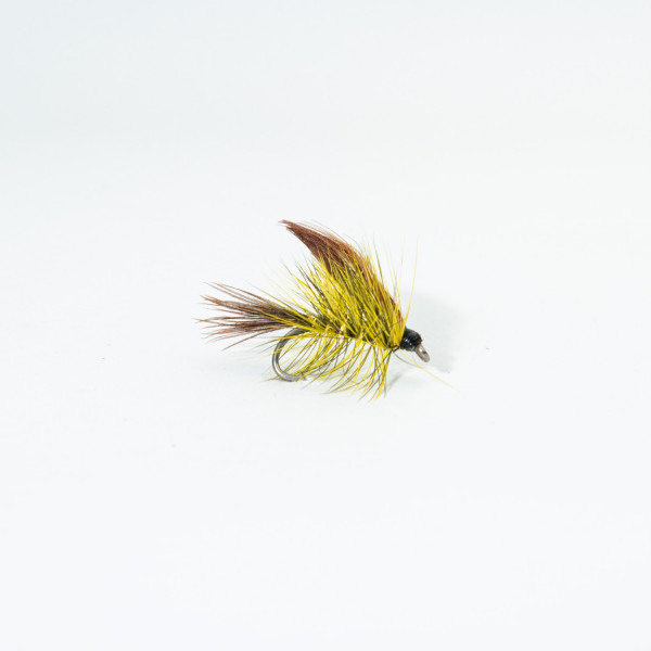 Dabbler Golden Olive