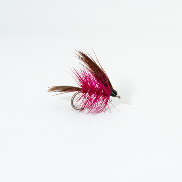 Dabbler Magenta