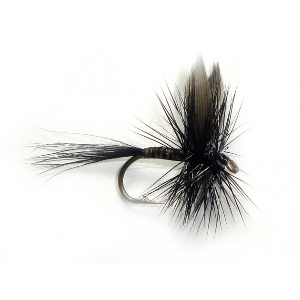 Black Quill