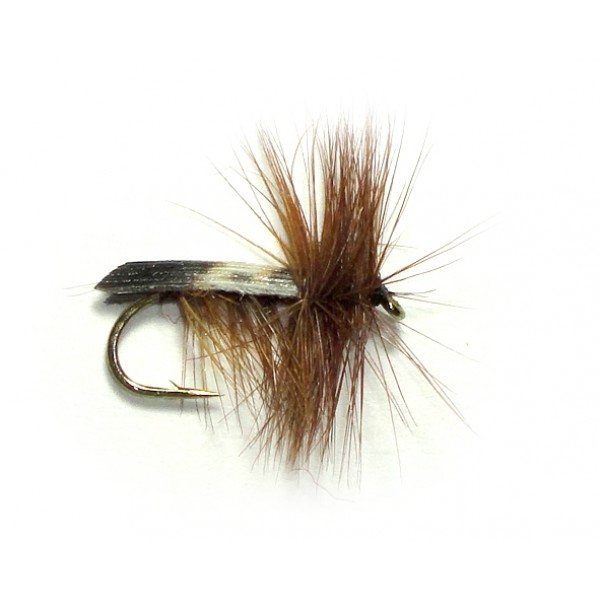 Brown Sedge