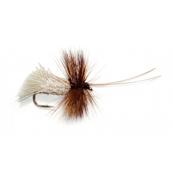 Goddard Caddis