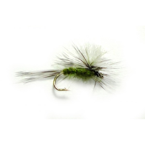 Gulpher Special Olive