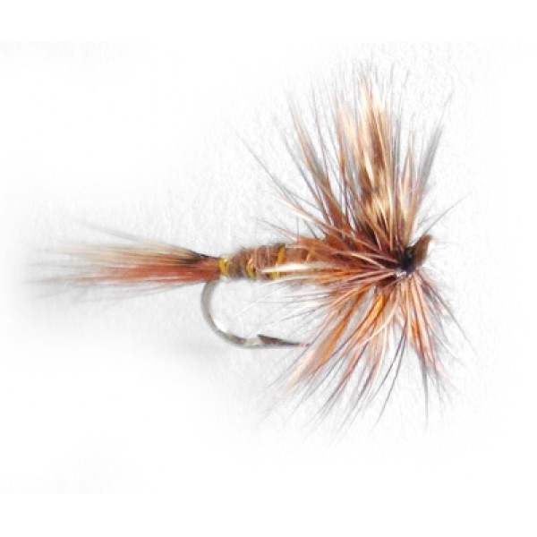 March Brown Hackle