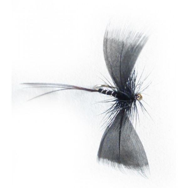 Mayfly Spent Black Drake