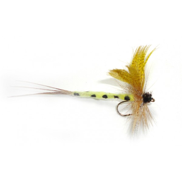 Mayfly Thomas Yellow