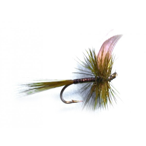 Olive Quill