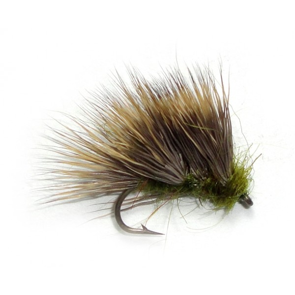 Olive Sedge Hog