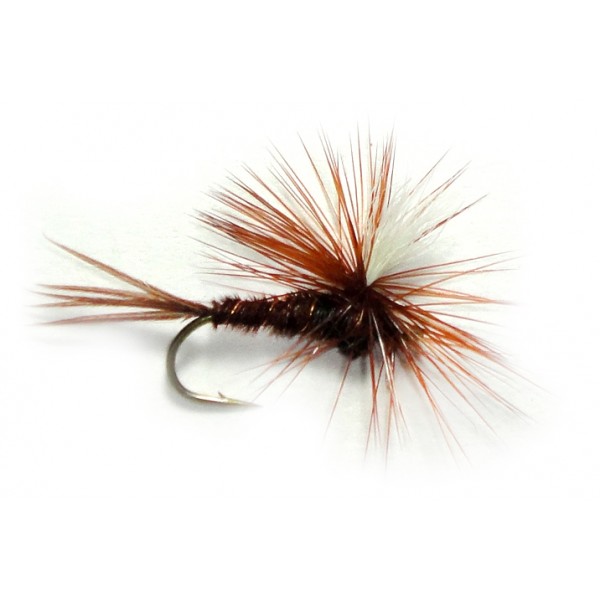 Pheasant Tail