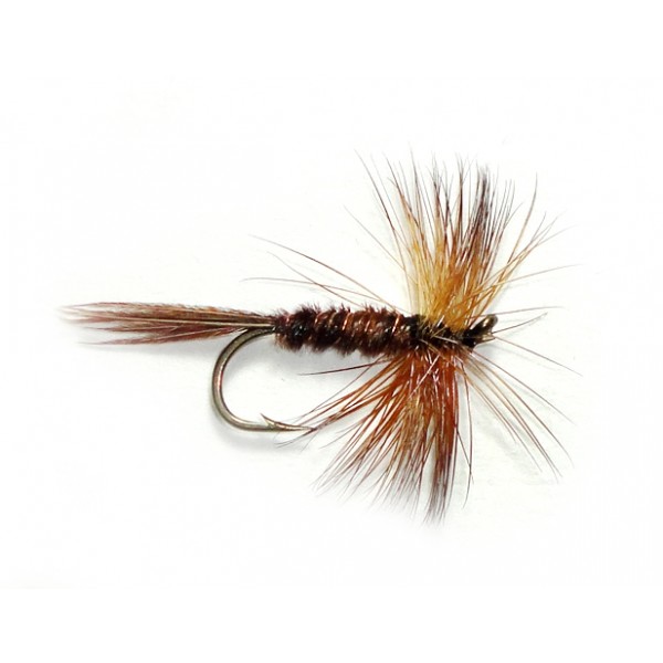 Pheasant Tail