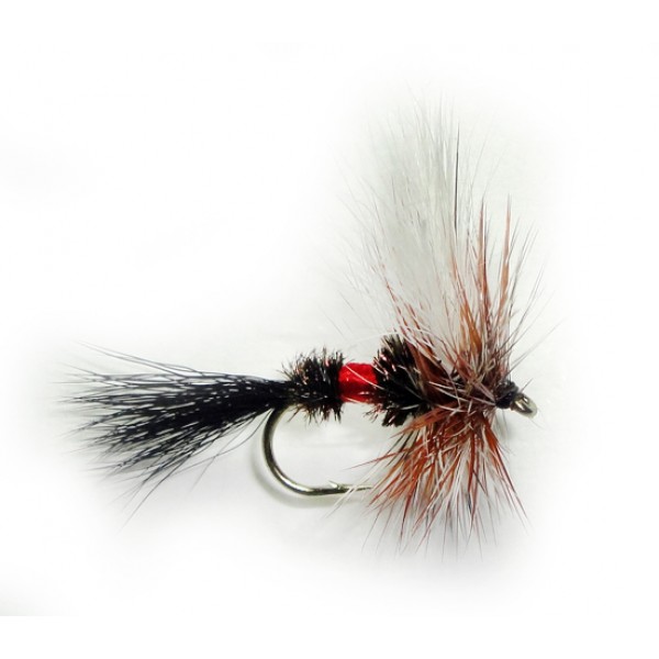 Royal Coachman Bucktail