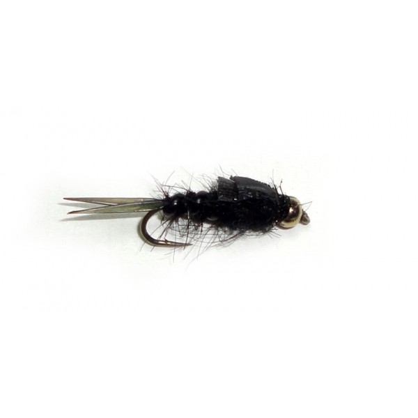 Biot Stonefly