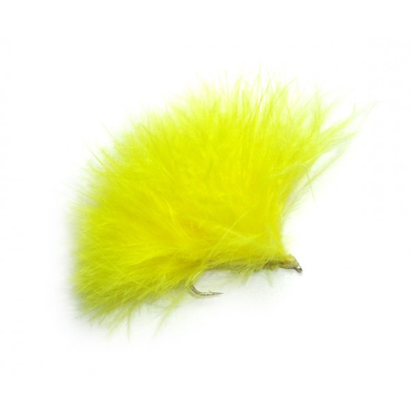 Leech Yellow