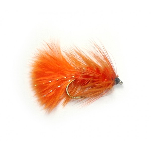 Tadpole Orange