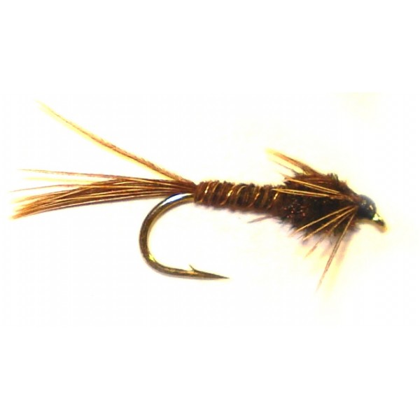 American Pheasant Tail