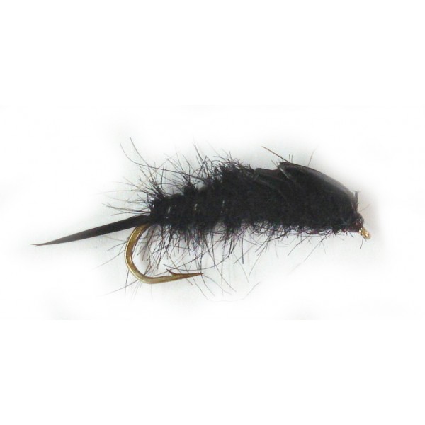 Biot Stonefly