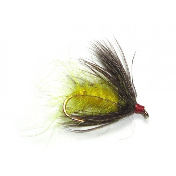 Caddis