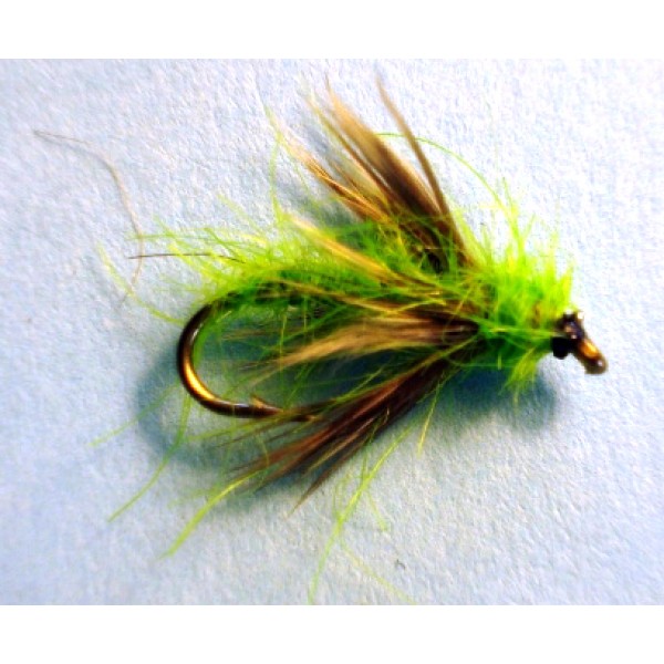 Green Sedge Pupae