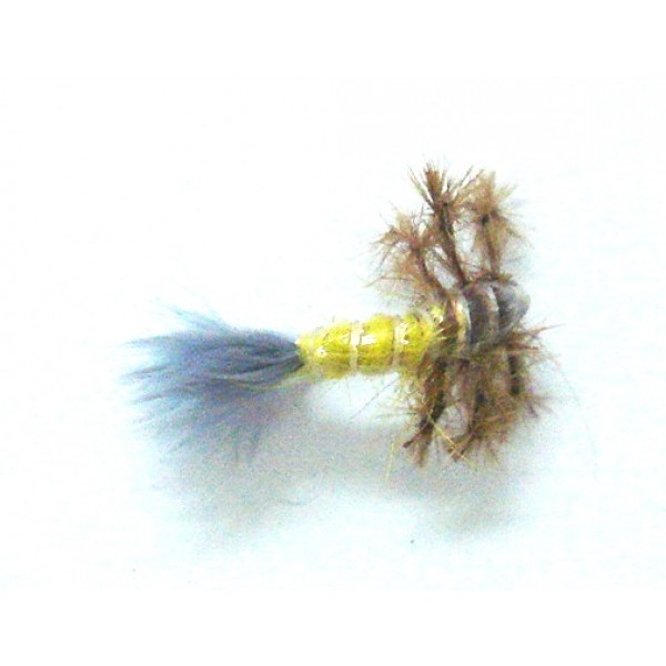 Legged Caddis