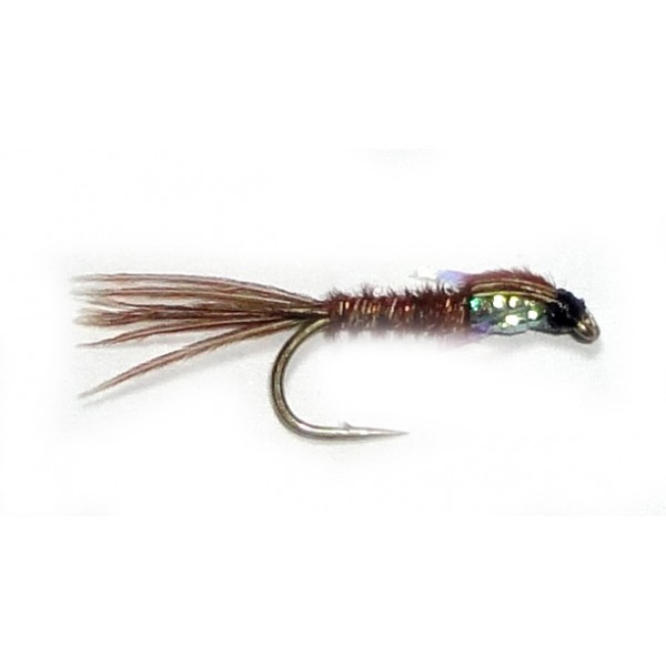 Pheasant Tail