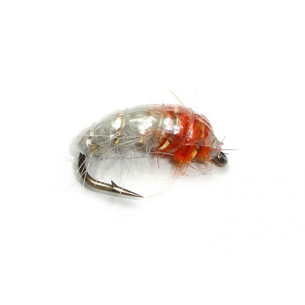 Sparkle and Orange