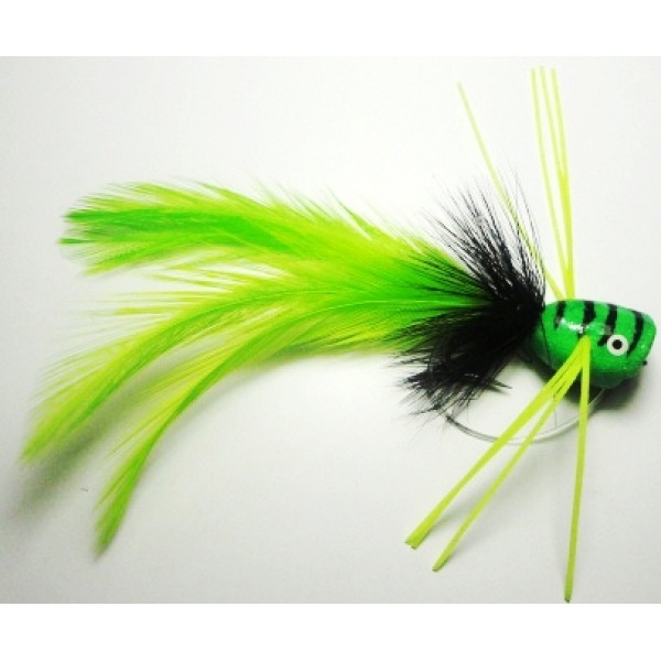 Pot Bellied Frog Popper - Chartreuse