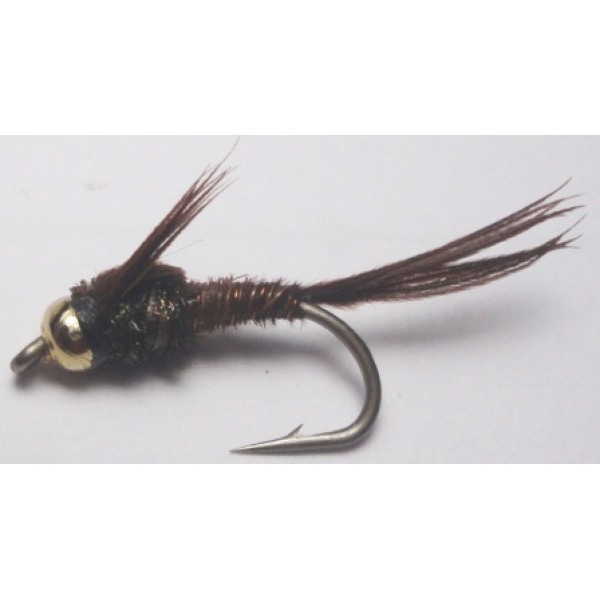 American Pheasant Tail